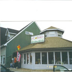 Black-Eyed Susan's Florist