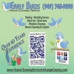 Early Birds House Cleaning