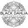 Black Dahlia, Inc.