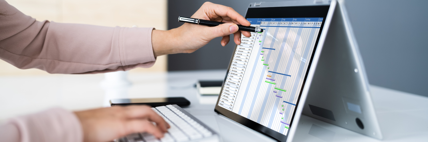 Website Design & Development