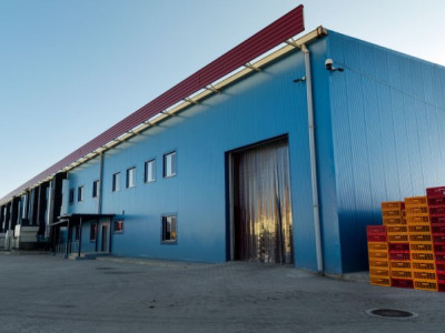 All Cold Storage Rooms: Your Guide to Reliable Temperature-Controlled Storage Solutions